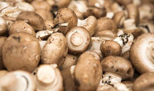 u=370107694,3532603327&fm=15&gp=0.jpg u=370107694,3532603327&fm=15&gp=0.jpg