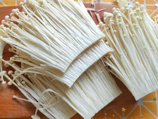 QQ截圖20220813101254.jpg QQ截圖20220813101254.jpg